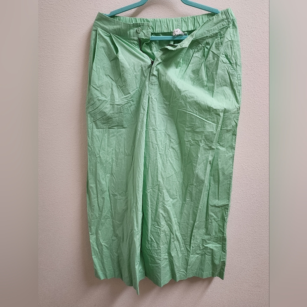 NWT Anthropologie Cropped Pants